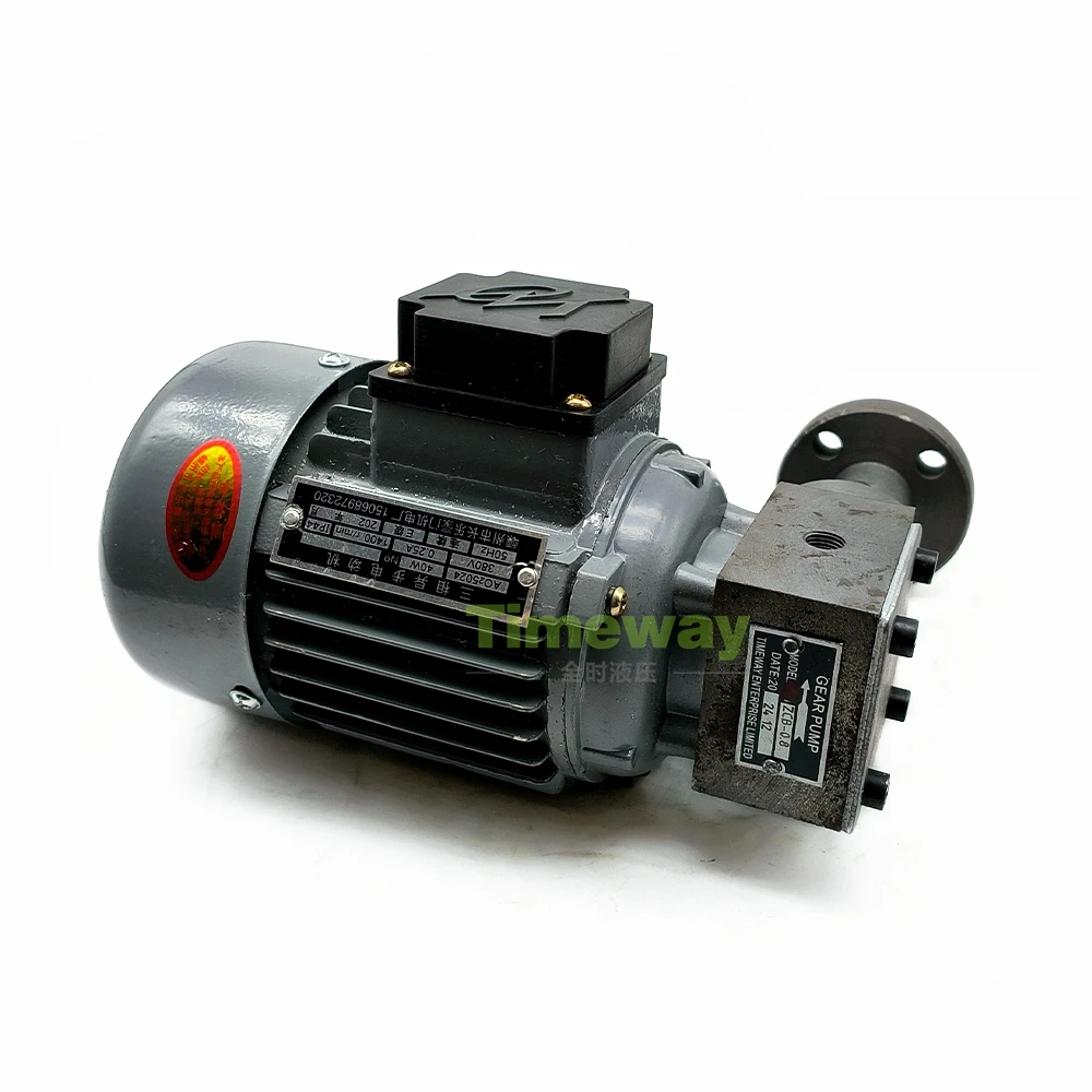 Zycloid Reducer Lubrication ZCB Rotary Oil Pump Motor ZCB-0.8 Rotor Oil Pump Power Plant