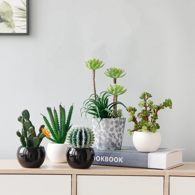 

Artificial simulation decoration fake flower simulation green plant decoration potted cactus bonsai outdoor succulent plants