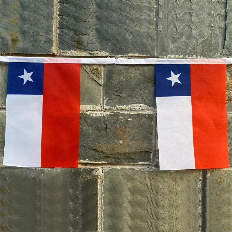 EOODLOVE Chilean Republic Flag 14x21cm Size 20 High Quality Polyester Indoor and Outdoor Hanging Decorative Flags