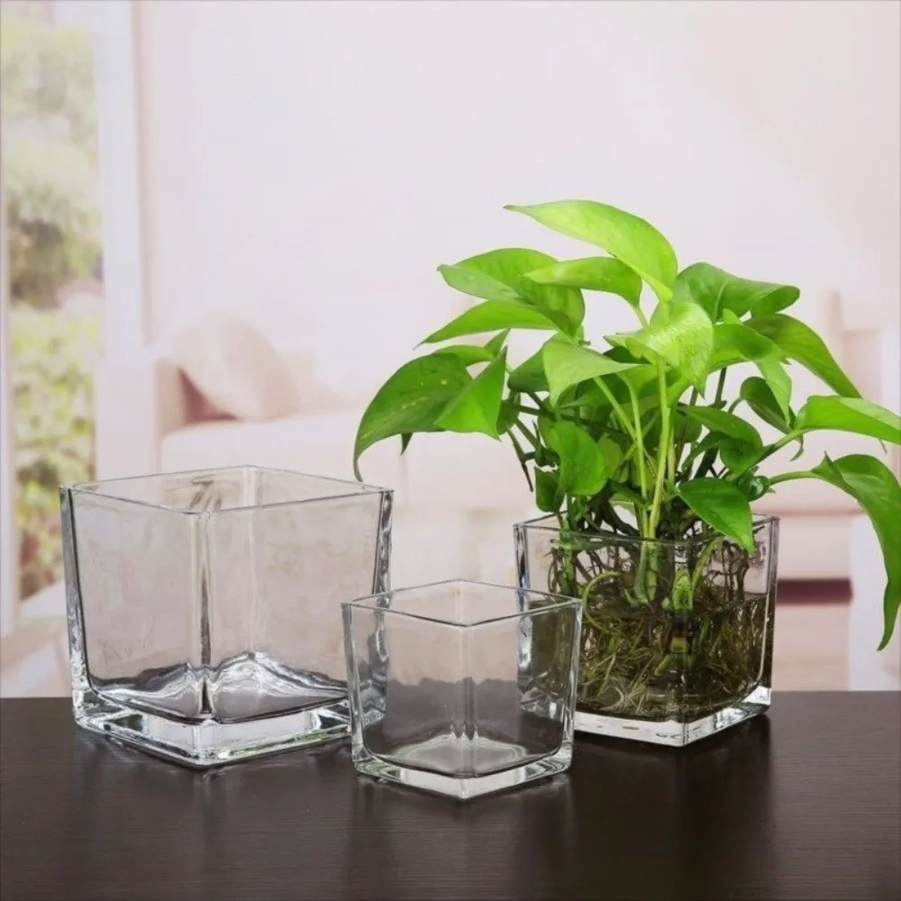 Minimalist Transprent Square Glass Vase Geometric Hydroponic Flower Pot Cube Vase Home