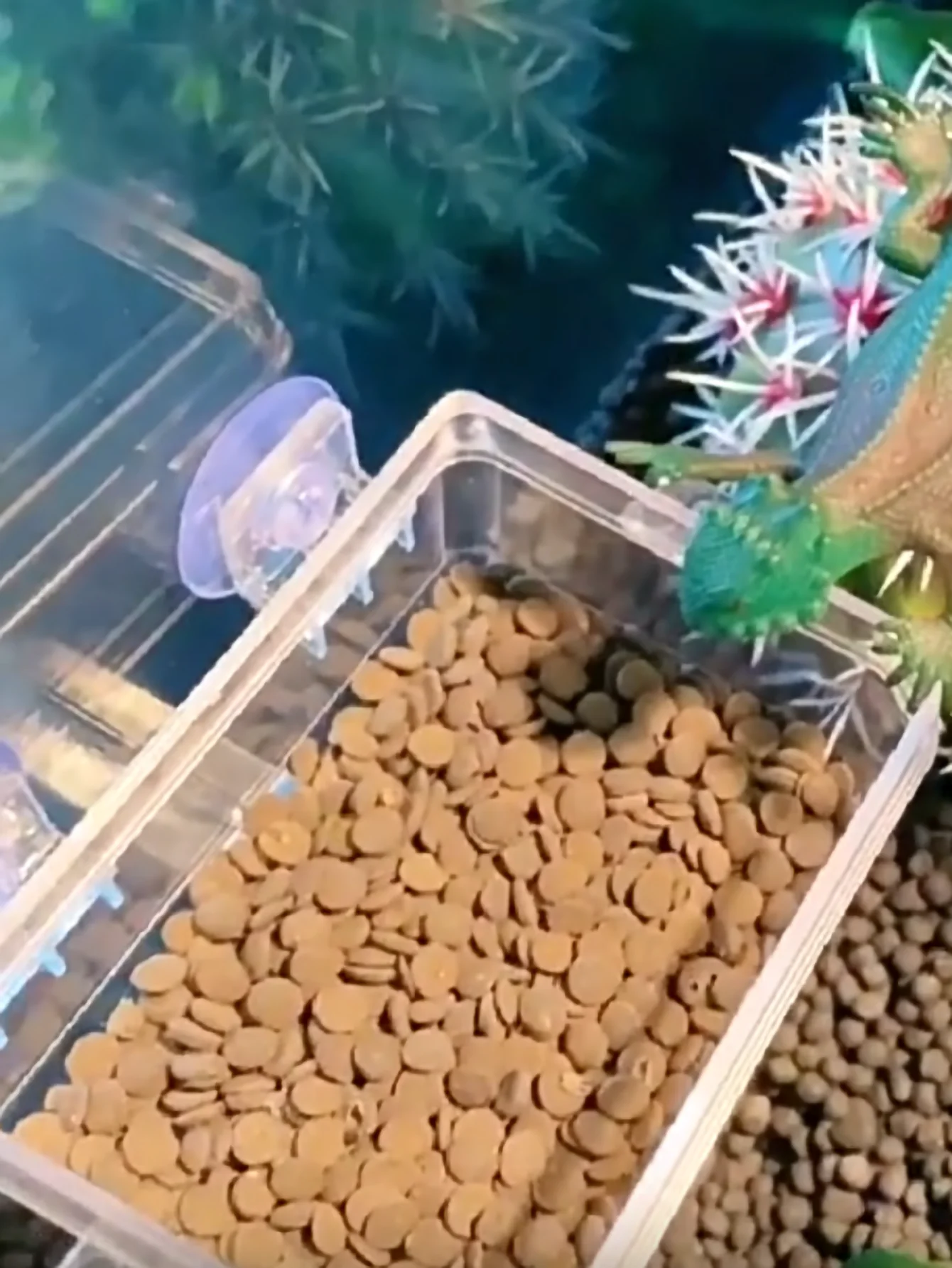 1pc-Crawler anti escape feeder, water basin anti escape pet feeder, suitable for turtles and lizards - random color