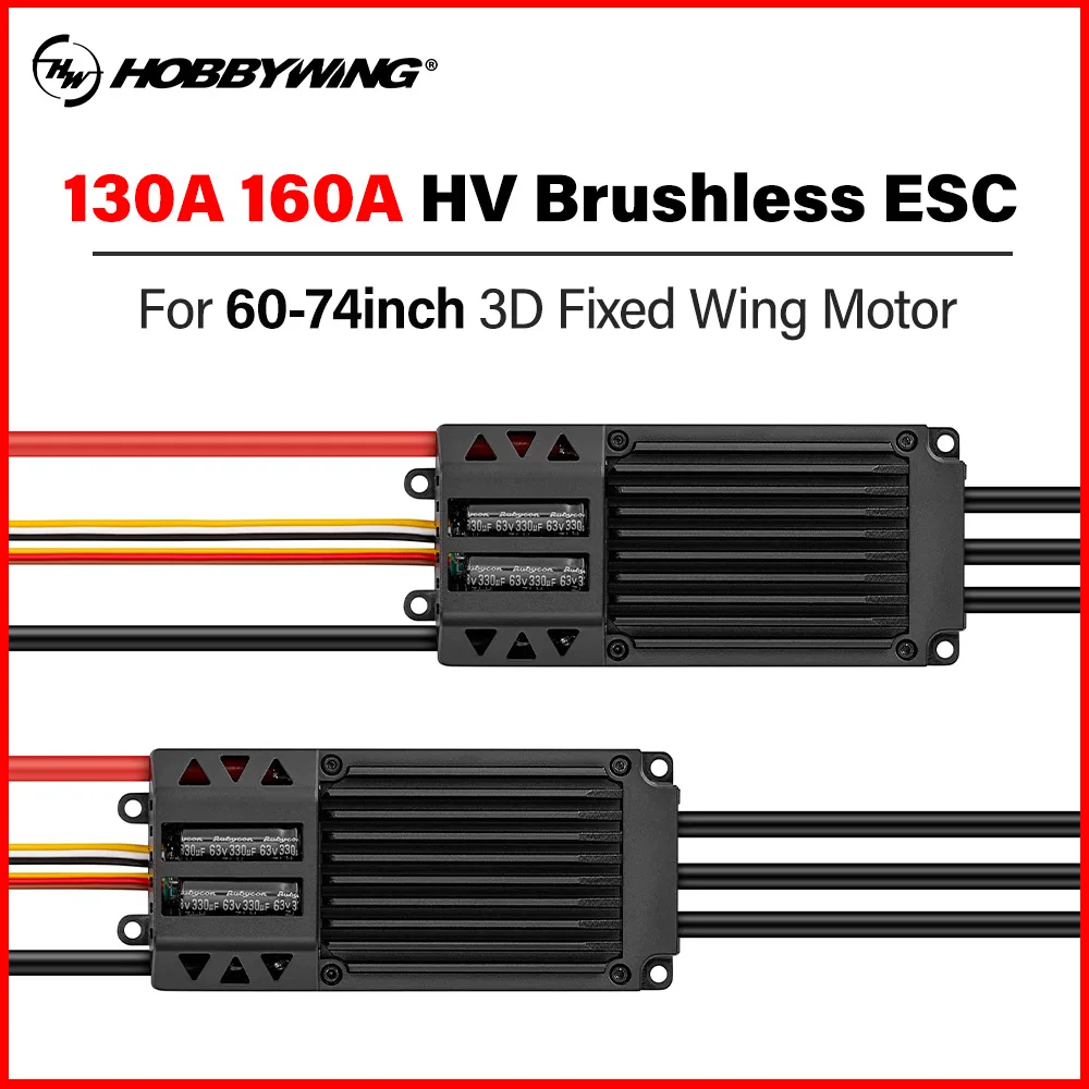 Hobbywing Skywalker…