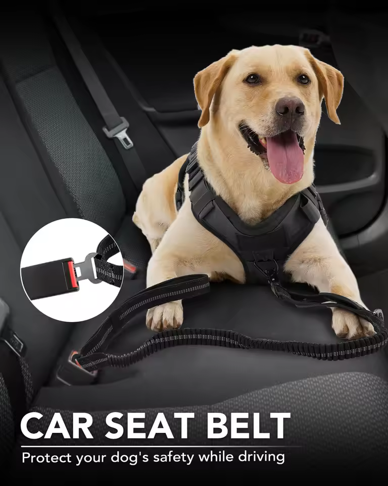 Dog Car Seat Belt Incredible Bond and Marvelous Safe Road. Buckling the heavy duty Dog Car Seat Belt into a car.