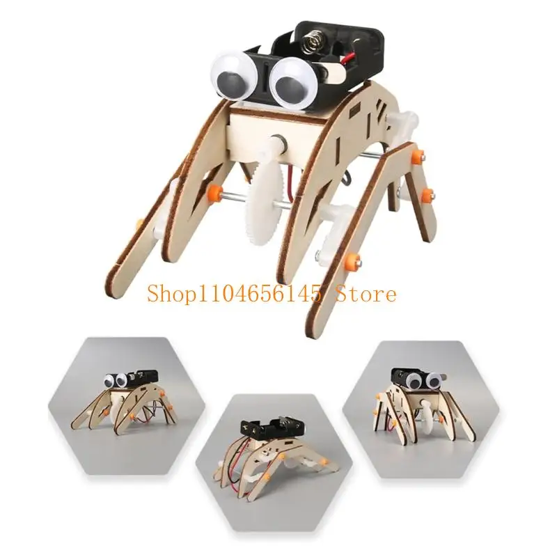 5asd Kids Educational Science Project Wooden Insect Device DIY Assembly Physics Learning Creative Experiment