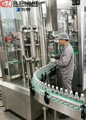 Automatic 3 In 1 Rotary PET Plastic Bottled Water Filling Machine For Purified Pure Mineral Spring Drinking Water