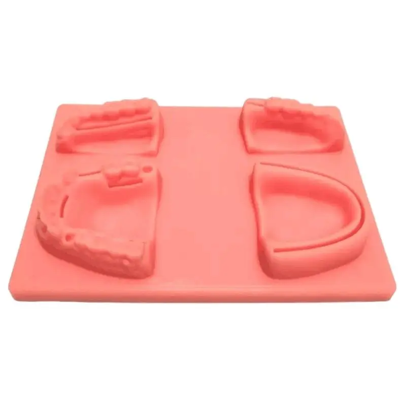 Dental Suture Practice Kit Teeth Model Dentistry Students Suturing Pad for Dentist Demonstration Teaching Training Accessories