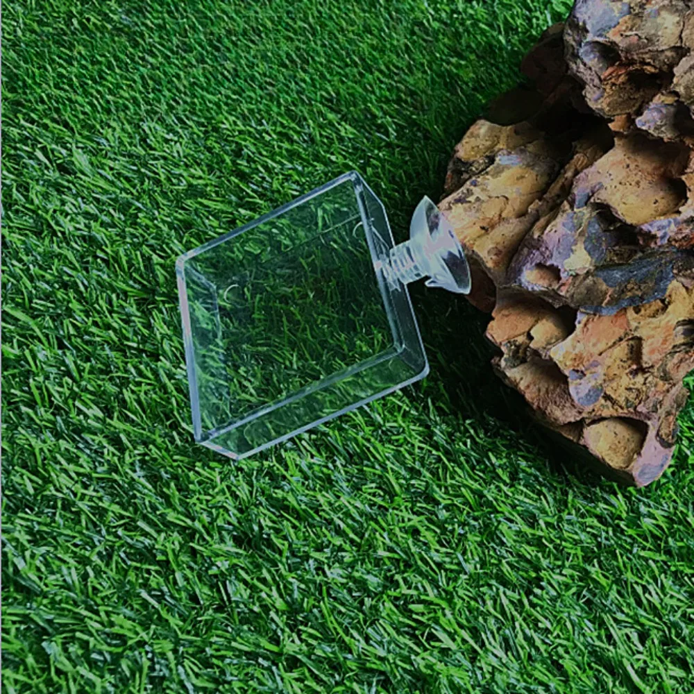 Acrylic Aquarium Feeder Tube Dish Transparent Fish Tank Shrimp Snail Shrimp Food Feeder Bowl Aquarium Feeding Accessories