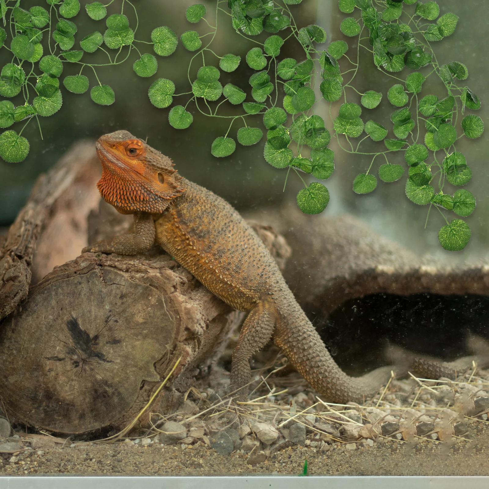 

Hanging Terrarium Vine Realistic Plastic Reptile Tank Decor For Bearded Dragons Geckos Lizards Aquarium Landscaping