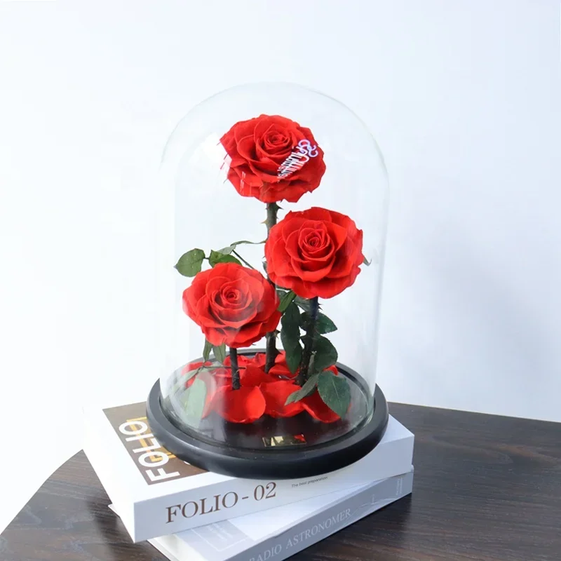 Preserved Rose with Glass Dome, Permanent Flower in Glass Dome, Forever Roses, Valentine Gifts, New Idea, 2024 ，Christmas Decor