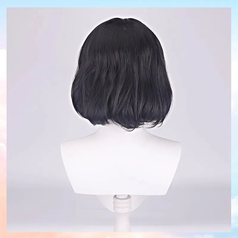 Men Professor Cosplay Wigs Synthetic Short Straight Wig Anime Heat Resistant Fiber Wig  Adults Cospaly Halloween Party Anime Use