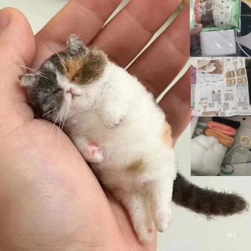 

Sheep Felt Poke Cat Handmade Material Bag For Beginner Diy Wool Needle Felting Simulation Creative Animal Gifts
