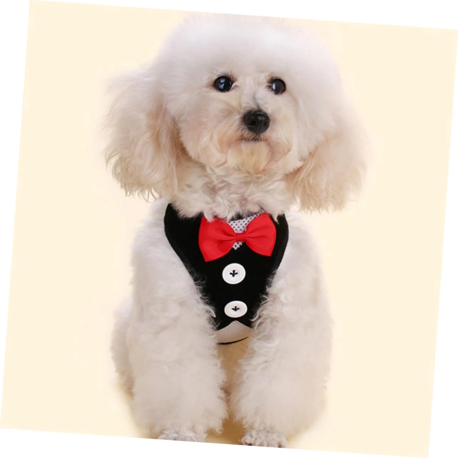 

Upgrade your furry friend's wardrobe with this durable, stylish, and safe pet collar. Ensure your beloved pet stays safe and tre