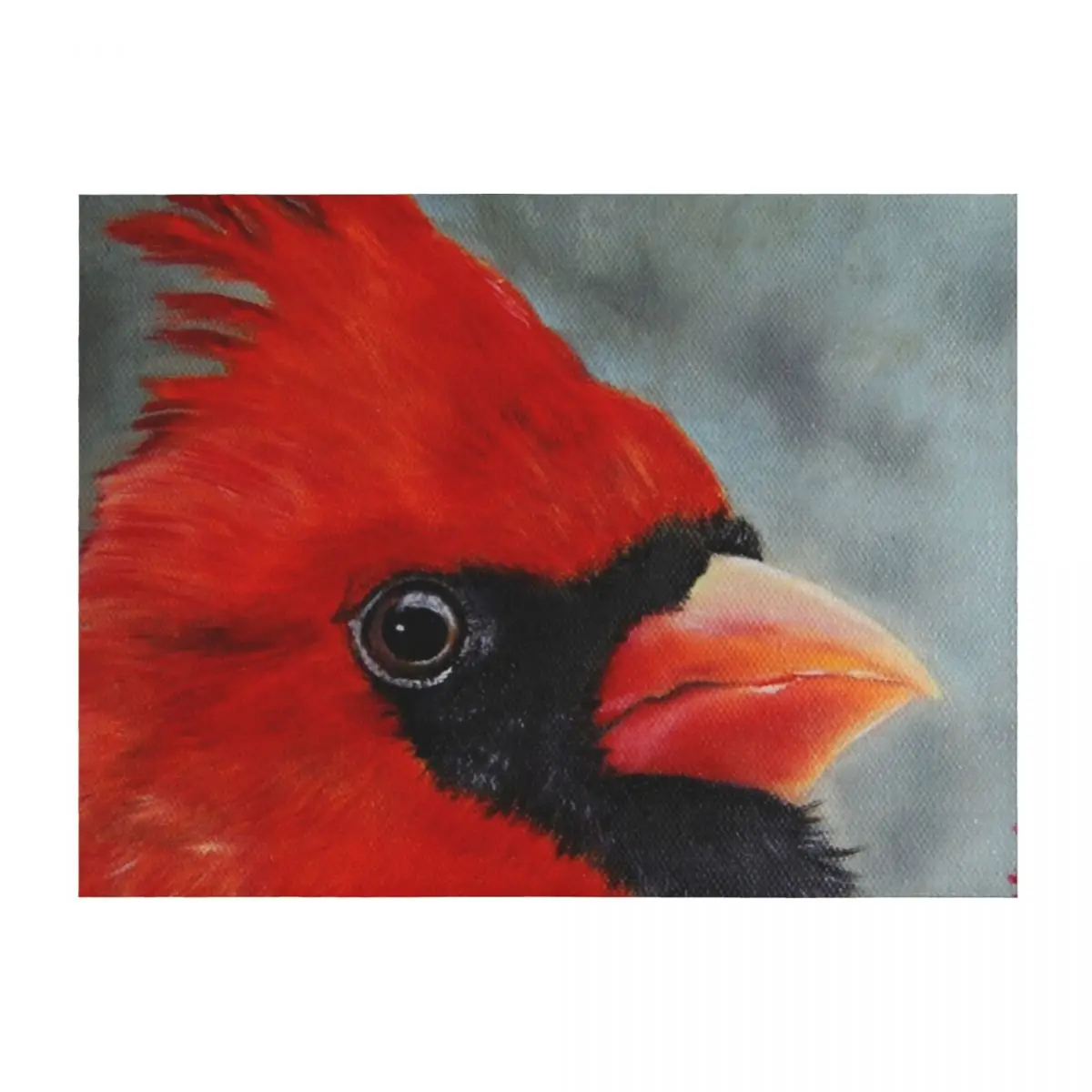 

Male Cardinal Art Throw Blanket Blankets For Baby Soft Big for babies Beach Blankets