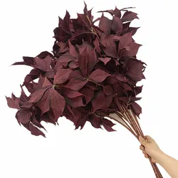 One Silk Filbert Leaf Stem Dark Red Color Four Forks Artificial hazel Tree Branch