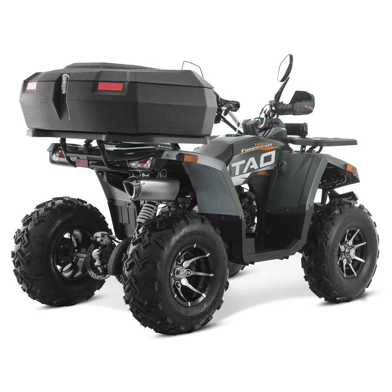 Side By Sides Quad Bike 250cc ATV With CE EPA ECE Certificate