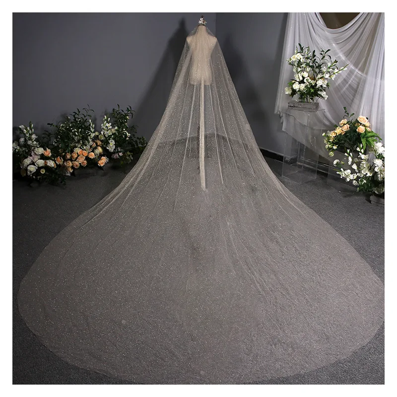 Modieuze Shiny Bruiloft Lange Sluier Nieuwe Trouwjurk 3.8 M Kant Wit Goud Spray Koreaanse Stijl Exquisite Bridal Hoofdtooi