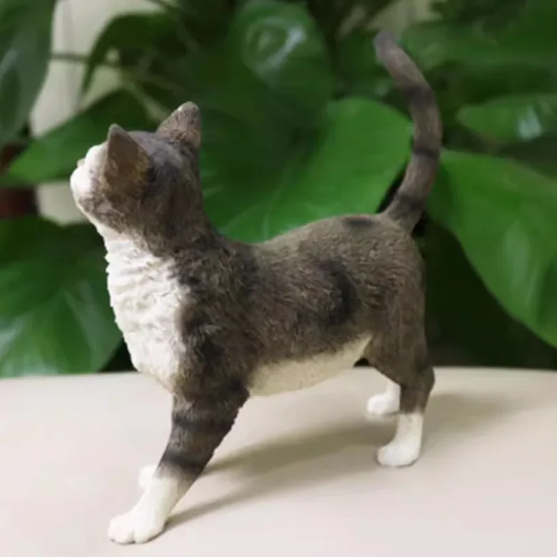 1/6 Scale Simulated American Wirehair Cat Model For Soldier Action Figure Display Collection Hobby Ornament Gift Craft Pet Toy