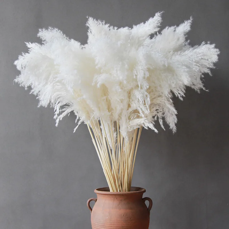 Artificial Pampas Dried Flower Boho Decorative Flowers Home Party Table Flower Arrangement Wedding Decor Fluffy Reed Grass