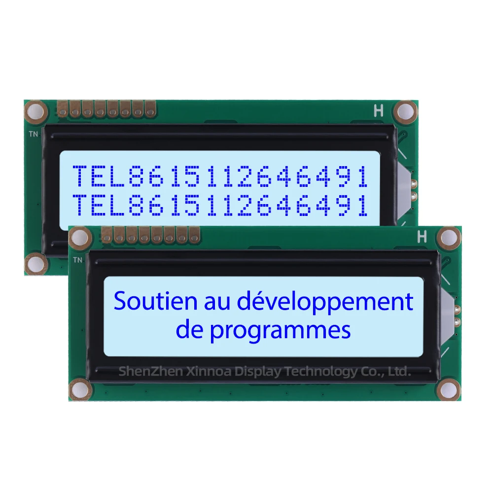 Spi Interface Aip31068 Controller Meerdere Woord Bibliotheken 3.3V/5V Grijze Film Zwarte Letters Europese 1602y Iic Lcd Scherm