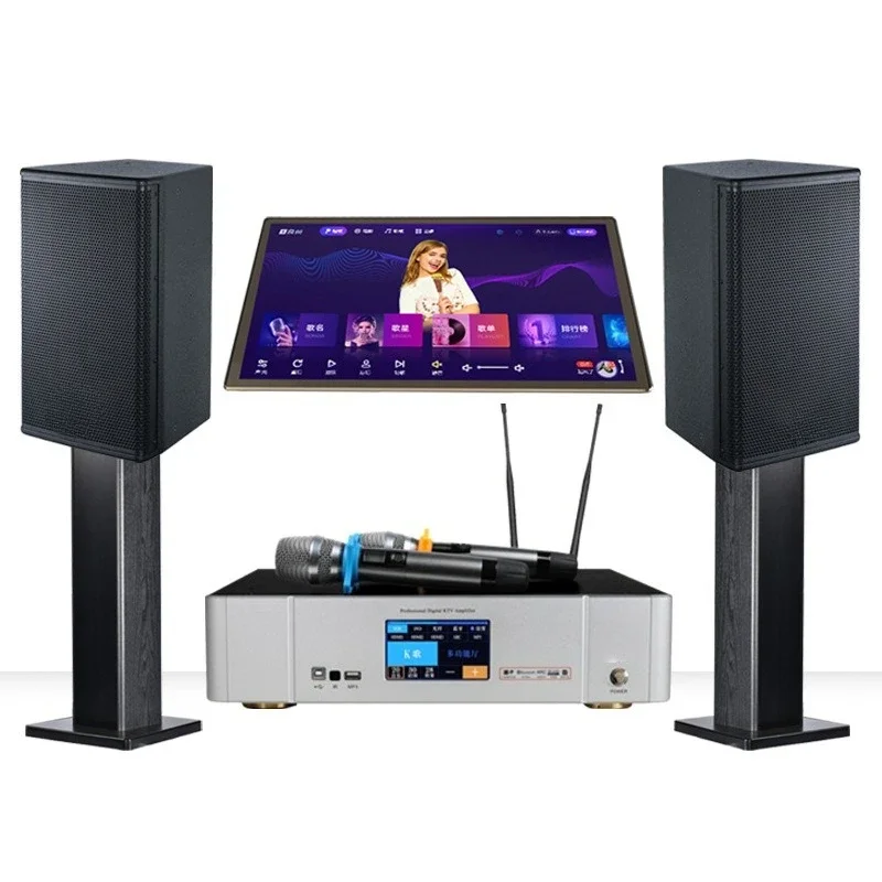 

Large KTV audio, set, full set, home, professional audio, sound creation, jukebox