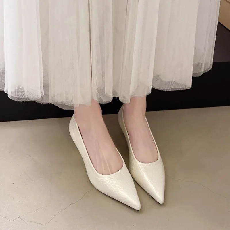 

Fashion Pointed Toe Thin Heel Women Office Pumps Shallow Slip On Party Dress Shoes 2026 New Spring Autumn Commuter Footwear
