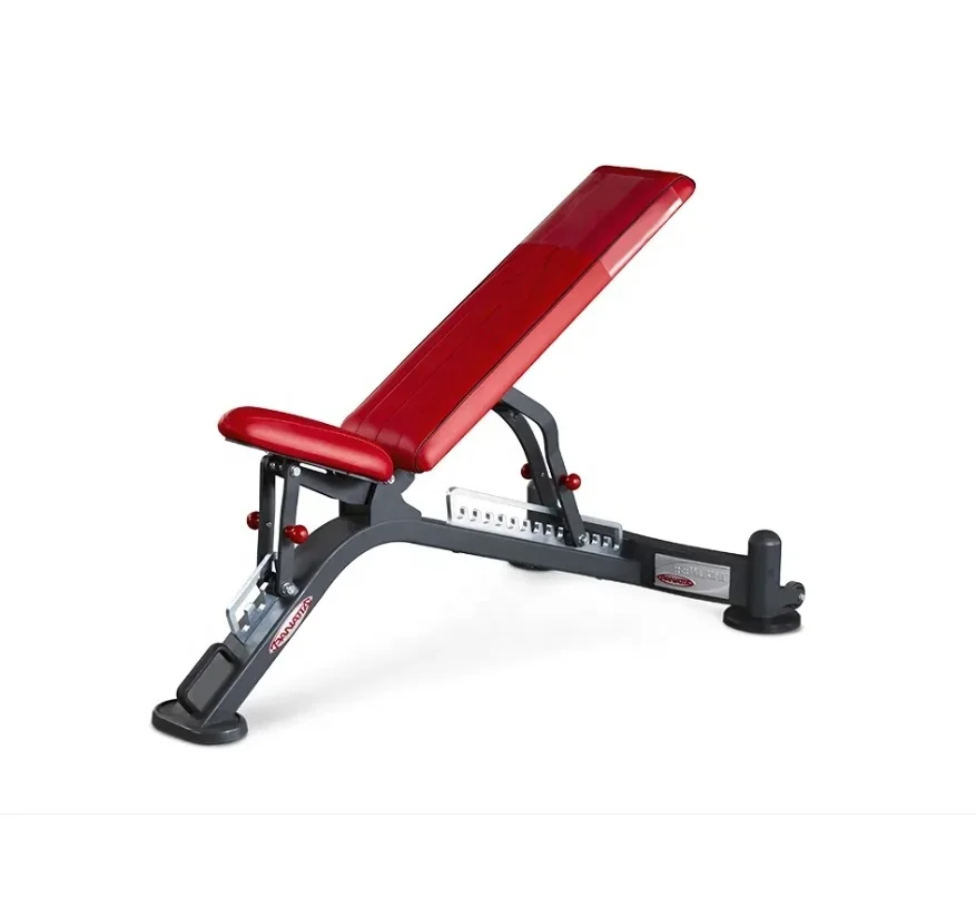 

Gym Fitness Equipment Adjustable Weight Bench Weights Lifting Workout Bench Incline Decline Flat Foldable Exercise Bench Press