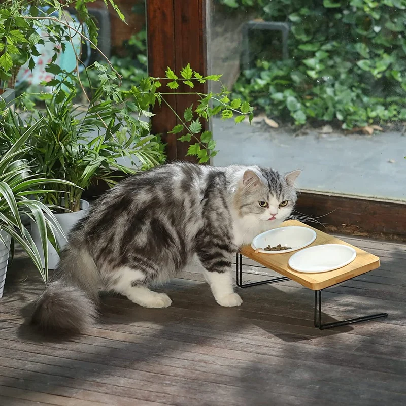 Tigelas de cerâmica elevadas para gatos, pratos de alimentação para comida de cachorro pequeno, conjunto de alimentador de suporte de água de bambu sólido para gatos e filhotes duráveis