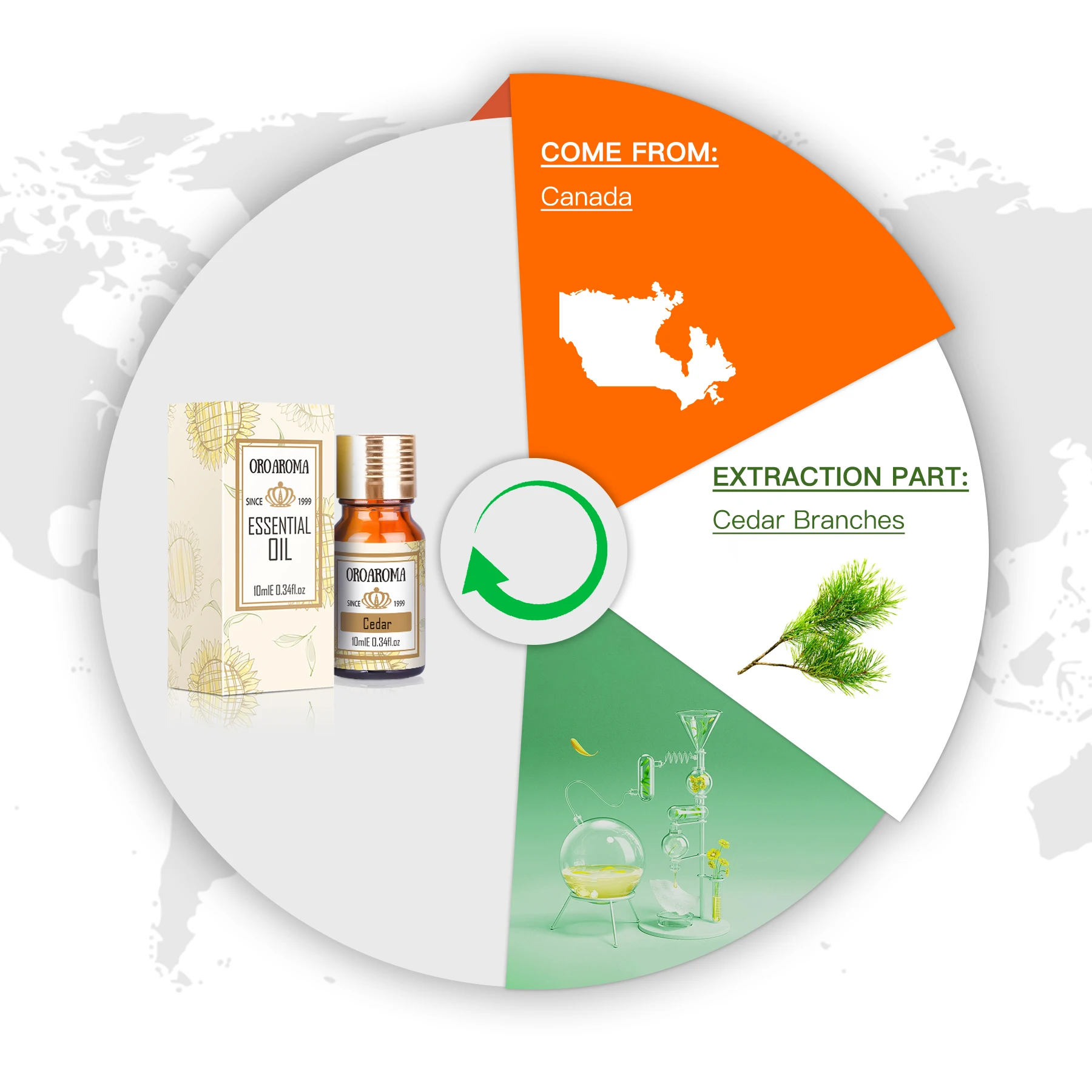 Oroaroma Natural Cedar Essential Oil – Elevate Your Spa Experience with Pure Aromatherapy Bliss
