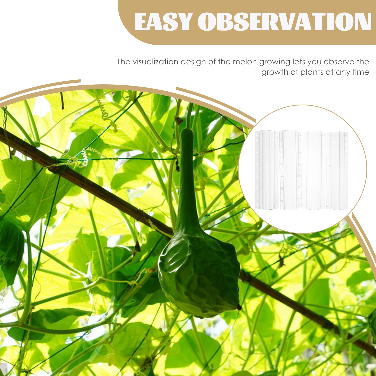 

4Pcs Transparent Fruit Growing Mold Multi-Use Vegetable Shaper Easy Operation DIY Fruit Forming Acrylic Supplies