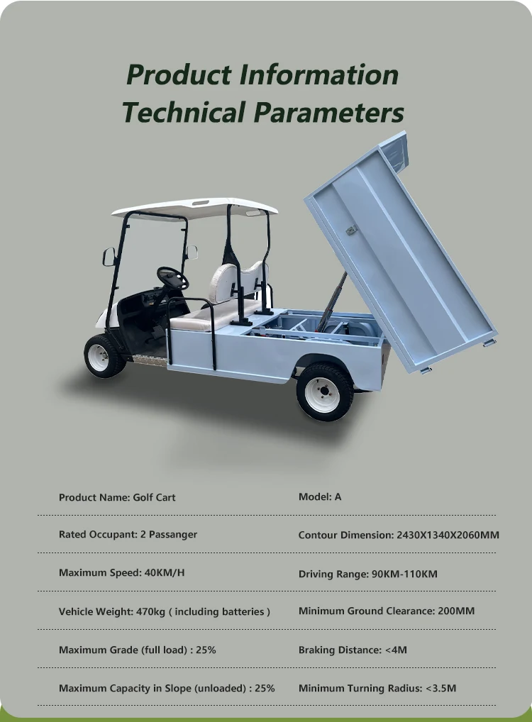 Customized Pickup Truck Aluminum Cargo Bed 2 Seater Utility Carts Automatic Hydraulic Rod Dump Truck Golf Cart with Cargo Box