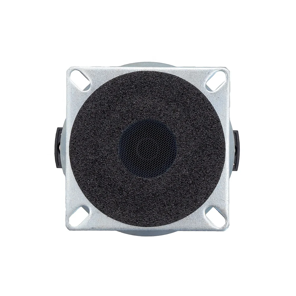 Driver HF audio professionale Gola da 1,0 pollici per sistema PA Line Array Altoparlante driver di compressione al neodimio