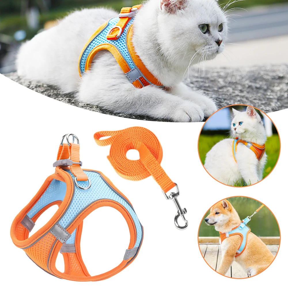 Thumbnail 2 - #16 Trending Dog Car Safety Harnesses Right Now