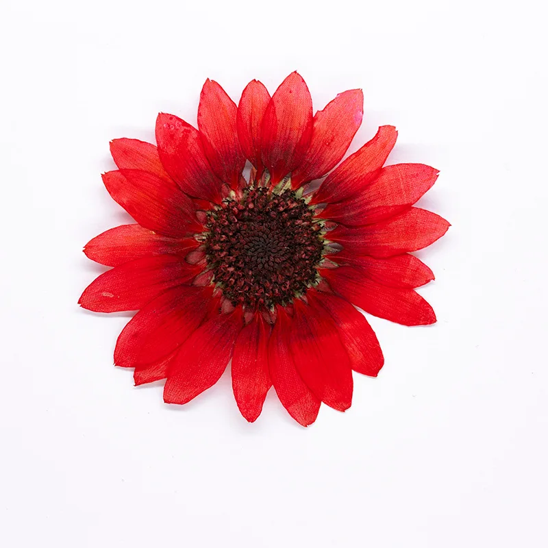 2 Stück, 6-8 cm, getrocknete gepresste Sonnenblumen für Harzformen, echte Blumen für DIY-Handyhüllen, Tischlampen, Wandkunst & Scrapbooking-Dekoration – Detail 2