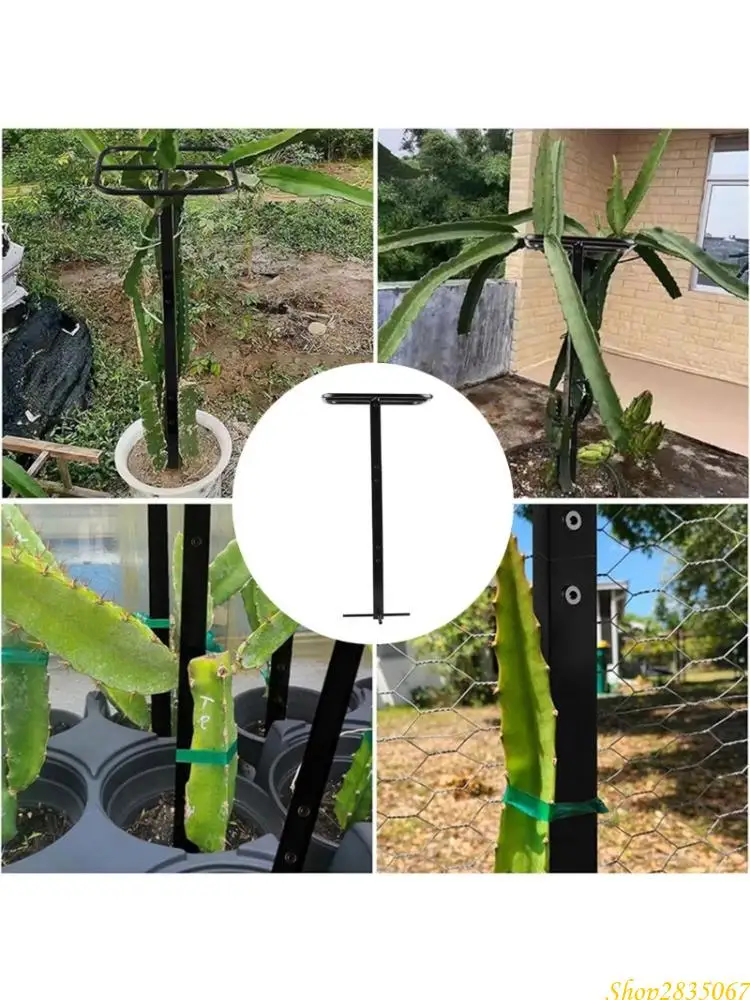 torre-vertical-planta-del-metal-del-soporte-del-jardin-para-fruta-del-dragon-y-planta-trepadora-831f
