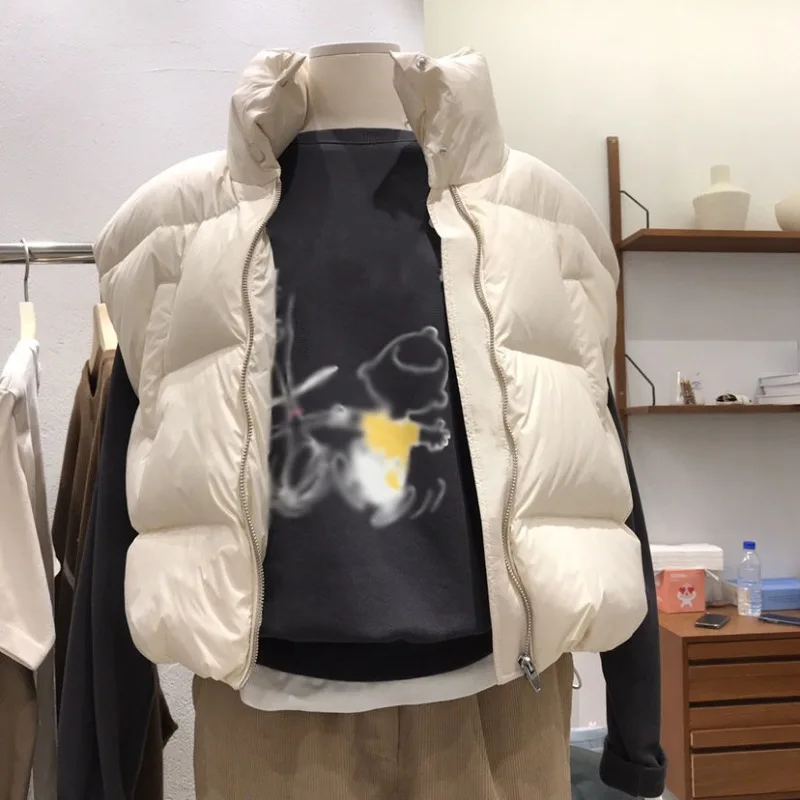 2024 Winter Long Sleeve Women Jacket Casual Chic Fashion Zipper Tops Stand Collar Loose Roupas Femininas