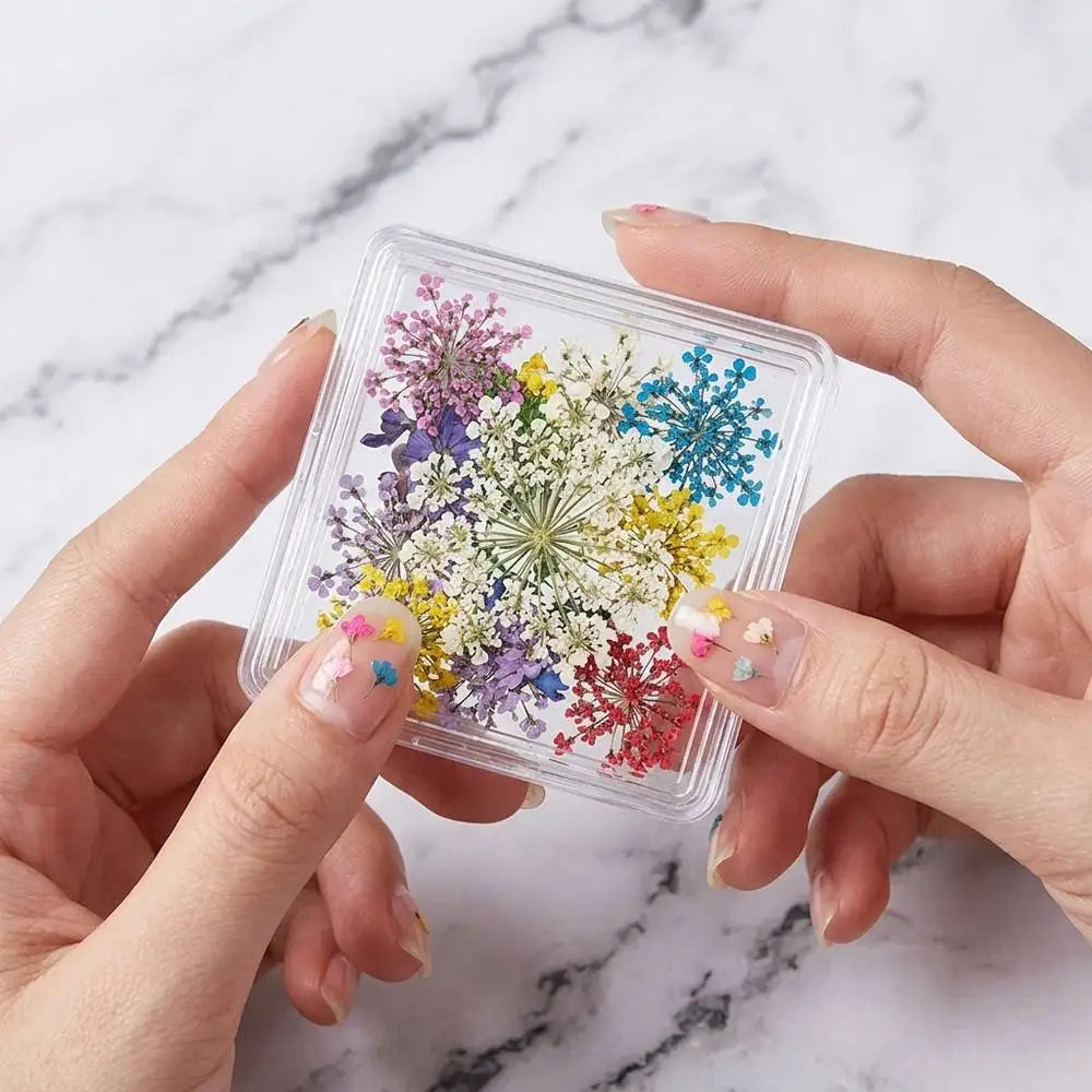 1Box Delicate 3D Starry Blossoms Manicure Charms Assorted Pastel Colors Nail Art Decoration Perfect For  Design Nail Supplies