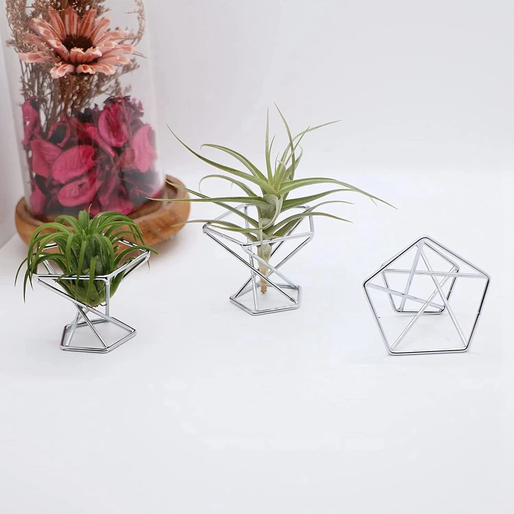 ABKO-Pack 5 Air Plant Holder Air Plants Holders Tillandsias Display Air Purifying Plant Container Air Fern Stand, Silver