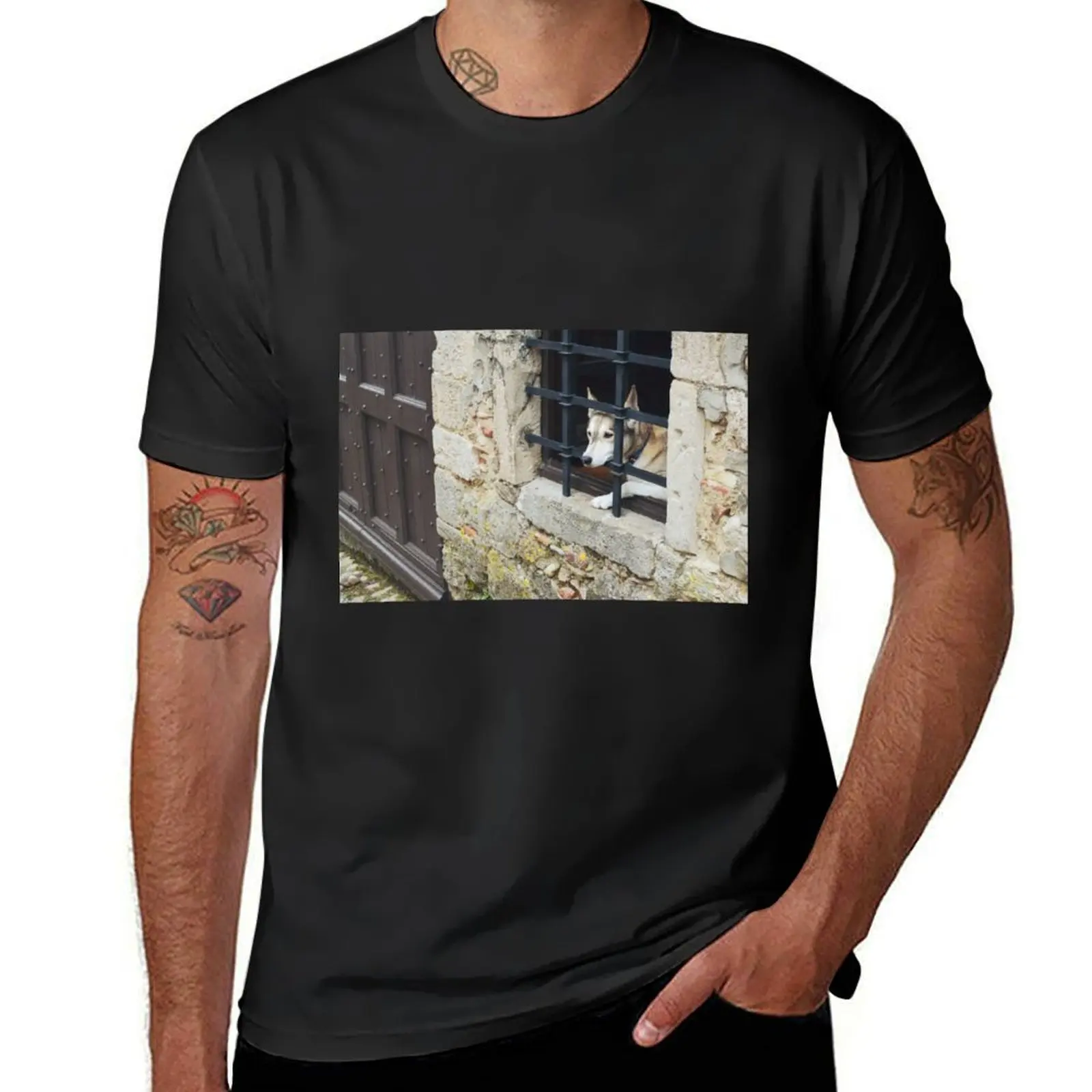 

Cute Dog Looking Out Window in Medieval Town T-Shirt cute clothes customizeds mens graphic t-shirts funny