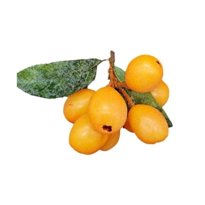 Fake Loquat Artificial Fruit Model Realistic Yellow Loquat Party Decor Ornament 15UB