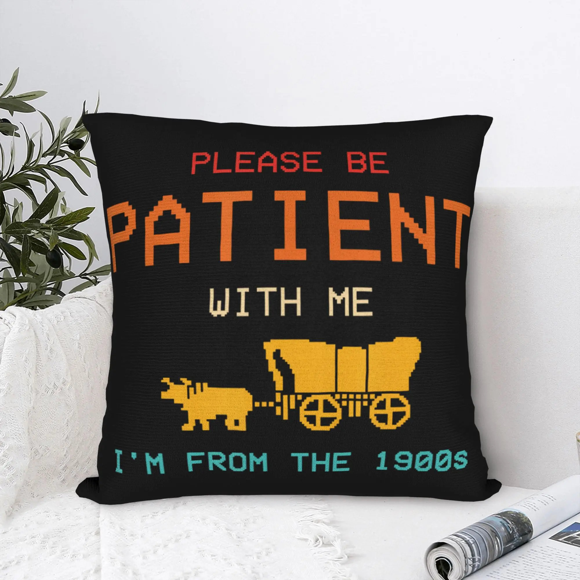 Please Be Patient Born in 1900s Pillowcase Printed Fabric Cushion Cover Gift Humor Funny Throw Pillow Case Cover Home Square