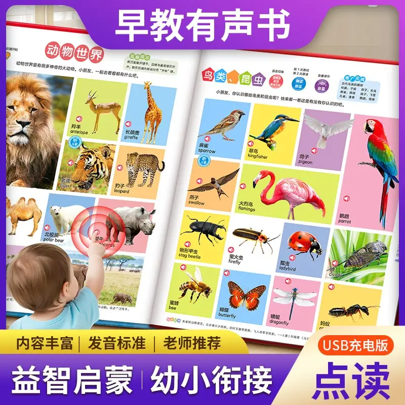 Language, Mathematics, English Early Education Audio Books, Children's Enlightenment Learning Assistance Books