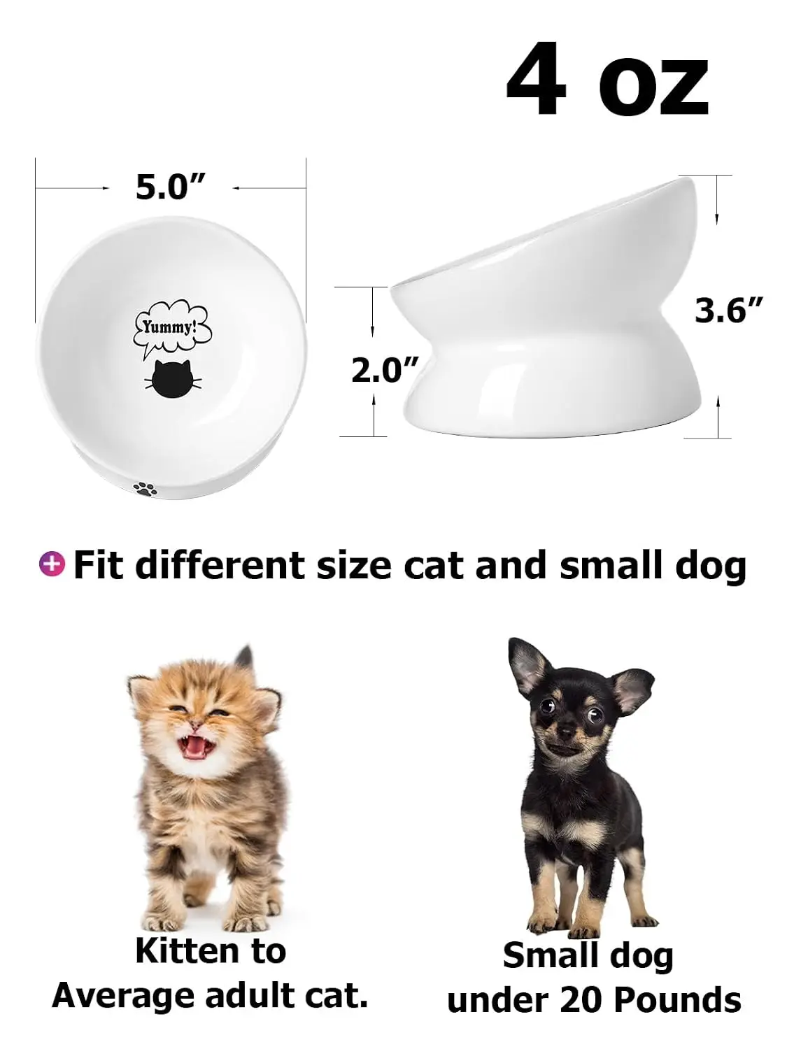 Ceramic Elevated Tilted Pet Bowl for Flat Faced Cats & Small Dogs, Anti Vomiting Spine Protection, 5 Inch, Customized