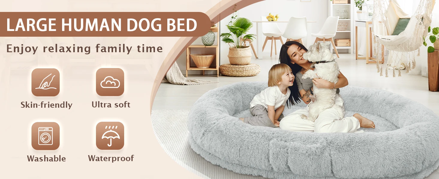 dog bed