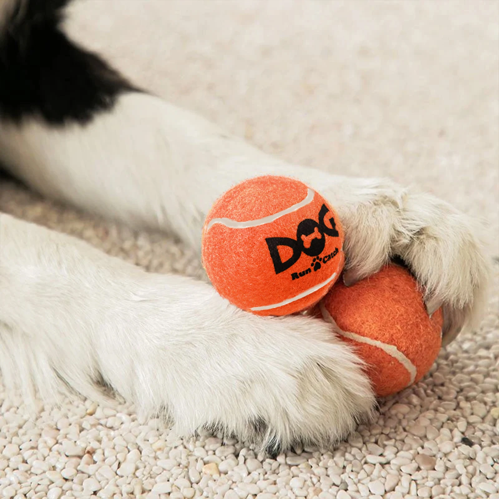 Fotografia 7: Bolas de Tênis para Cães - Pacote com 12 Bolas Interativas com Som para Treinamento, Exercício e Brincadeiras em Ambientes Internos e Externos - Bolas de Borracha para Cães de 2,5 polegadas