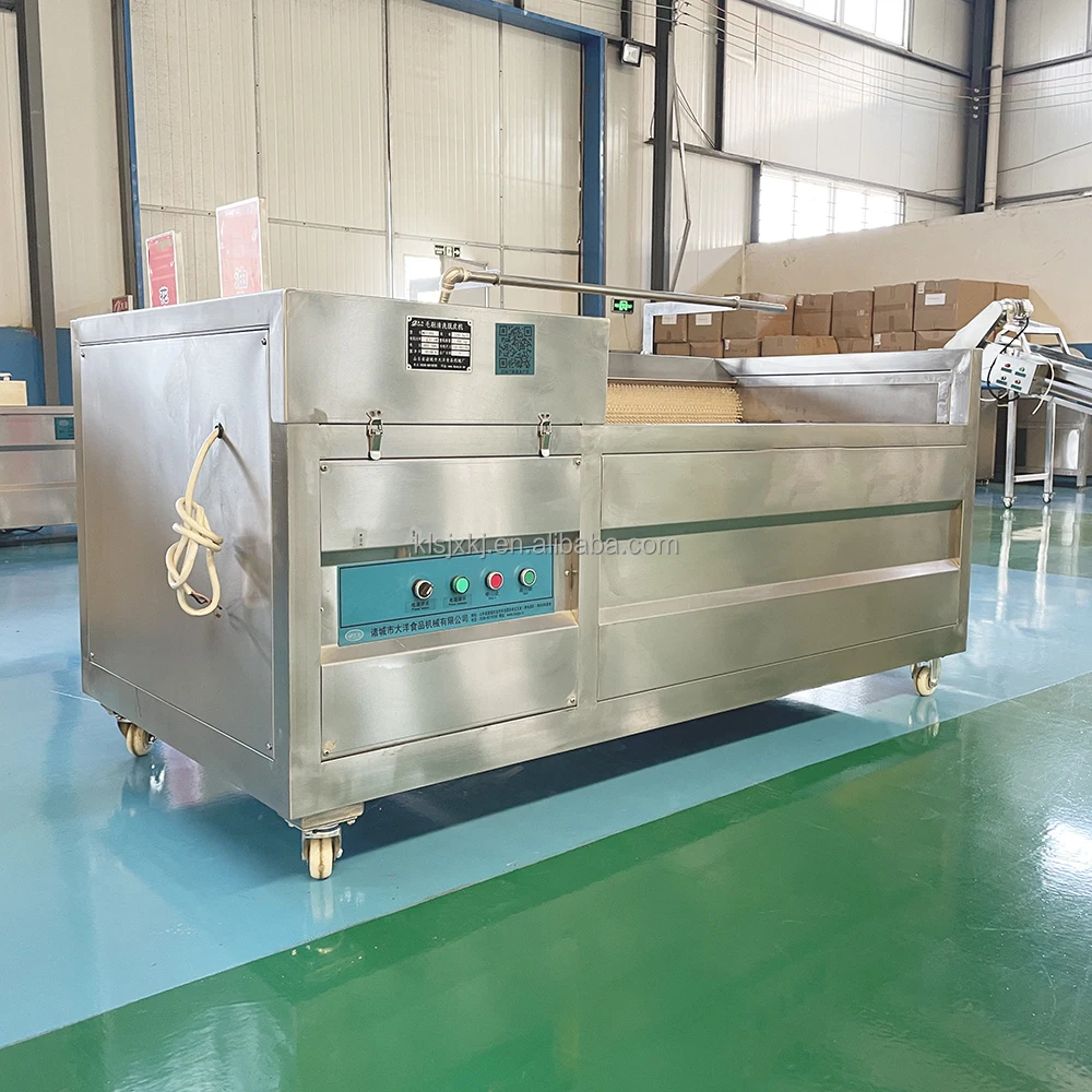 KLS Efficient Brush Type Vegetable Fruit Washing Peeling Machine for Potatoes and Other Produce