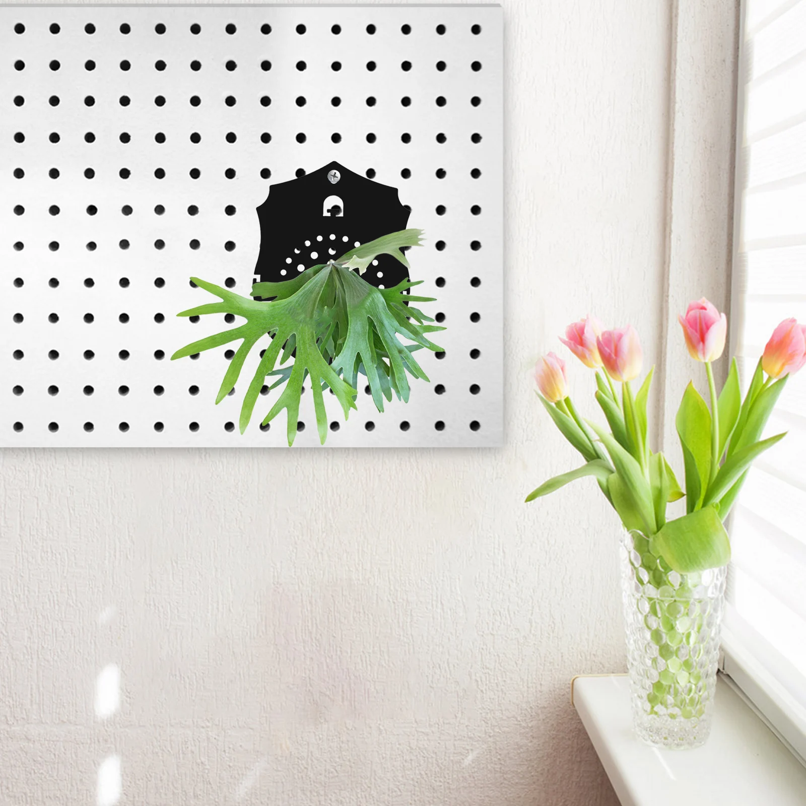 لوح زراعة السرخس من الأكريليك الأسود البلوري، حامل نباتات داخلي، سهل التركيب، ديكور منزلي ريفي عمودي