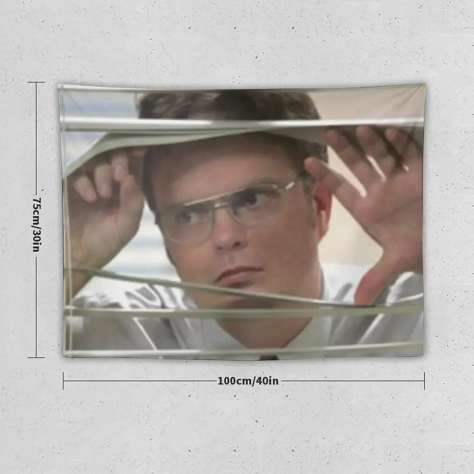 Dwight Schrute Watching Through the window Tapestry Bedroom Decorations Room Aesthetic Decor Tapestry