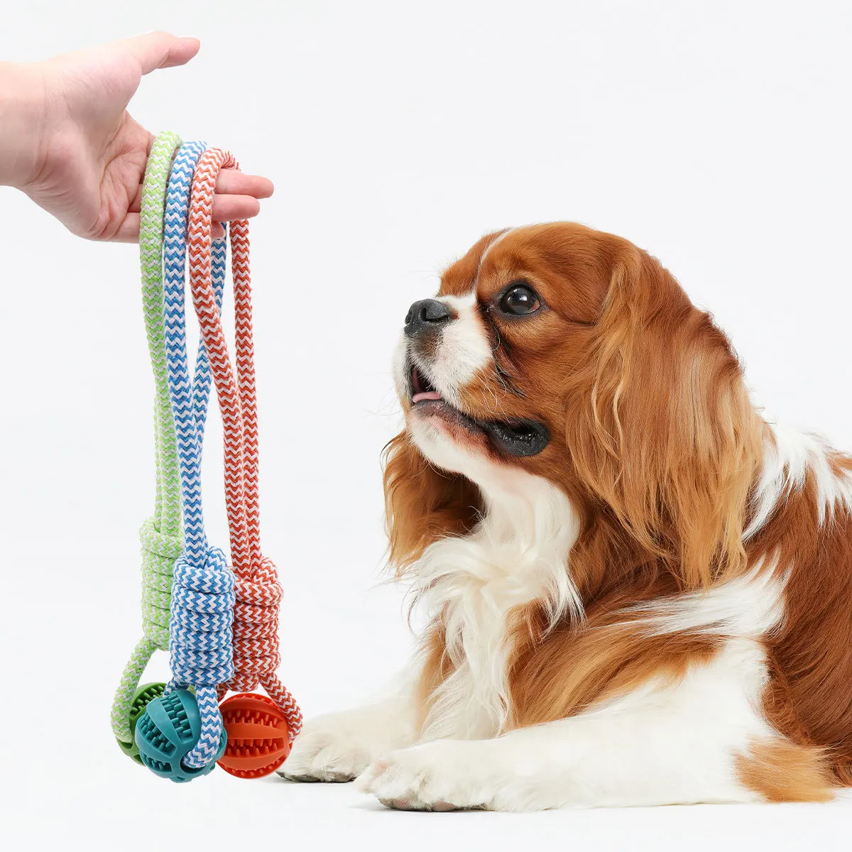 

Dog Ball Toy with Rope Interactive Interactive Leaking Balls for Small Medium Dogs Chewing Bite Resistant Pet Tooth Cleaning