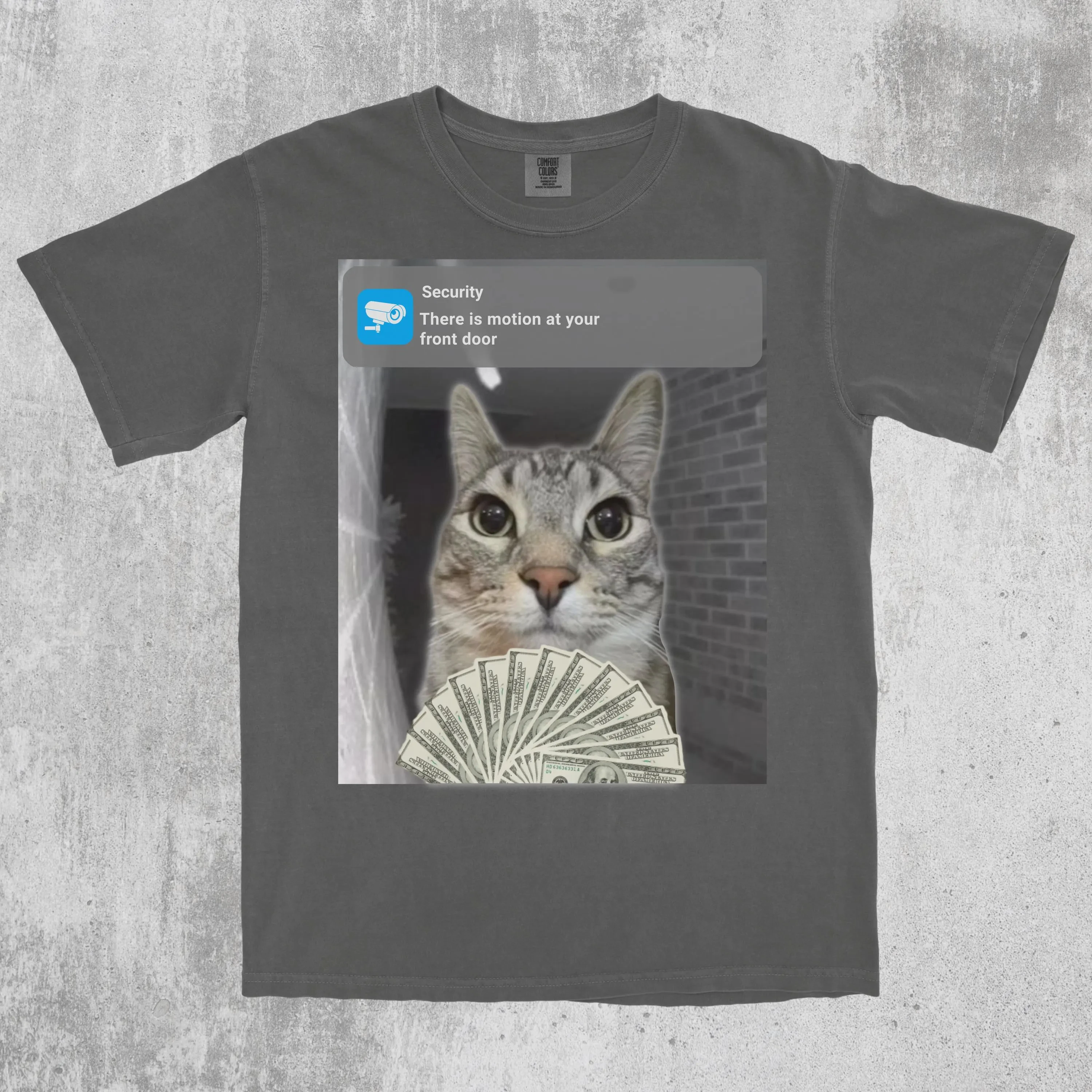 Ring Cat with Motion Meme T-Shirt Cursed Cat Funny Meme Shirt Ironic Shirt Cat Lover Gift Oddly Specific Men Clothing