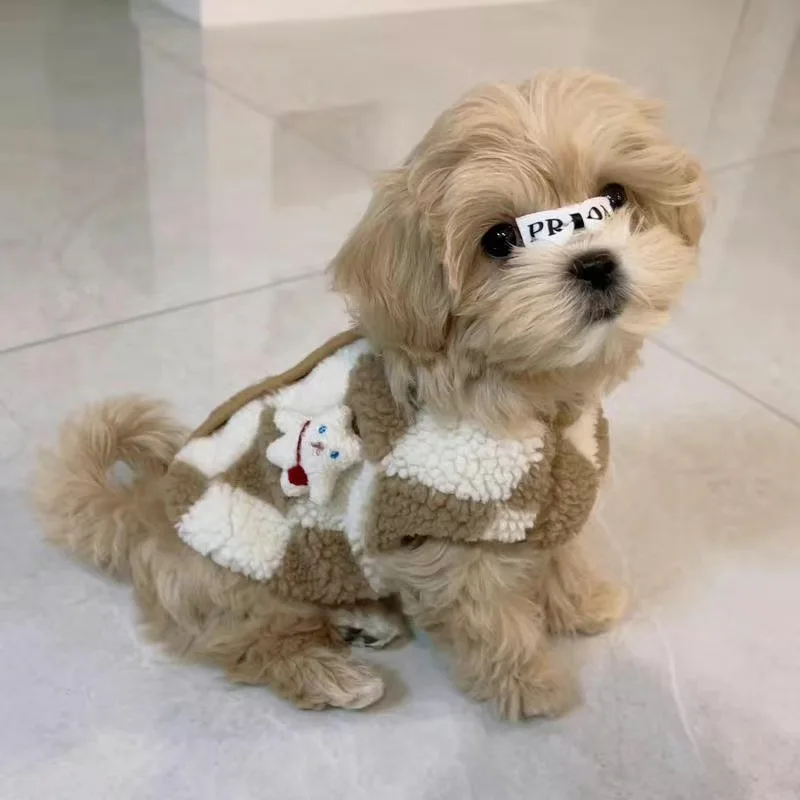 Chaqueta de lana de Coral para perro y gato, ropa para mascotas, suéteres cálidos para perros pequeños, Chihuahua, Shih Tzu, Otoño e Invierno